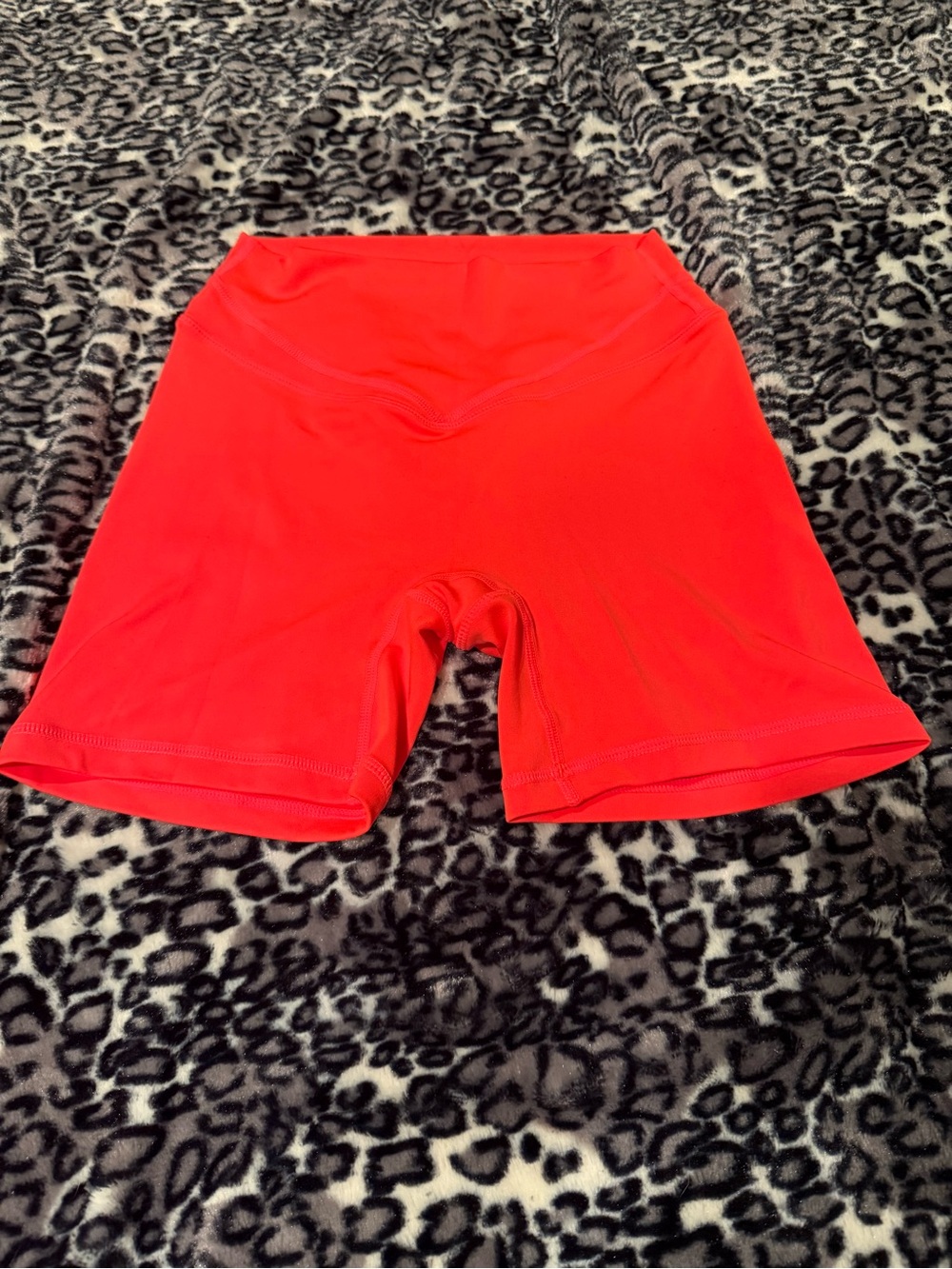 Paragon High Rise Icon Sculptseam plus 5” shorts